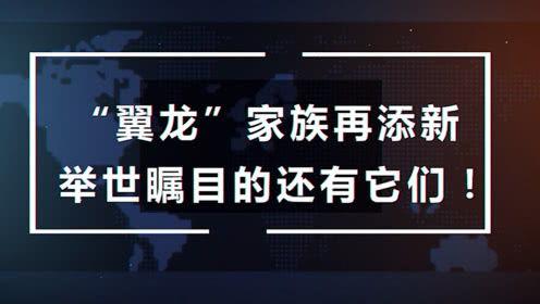 咕噜噜的爆料视频大全在线观看,揭秘幕后精彩瞬间 第1张 咕噜噜的爆料视频大全在线观看,揭秘幕后精彩瞬间 第1张