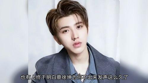 蔡徐坤娱乐爆料事,揭秘明星背后的故事与争议 第1张 蔡徐坤娱乐爆料事,揭秘明星背后的故事与争议 第1张